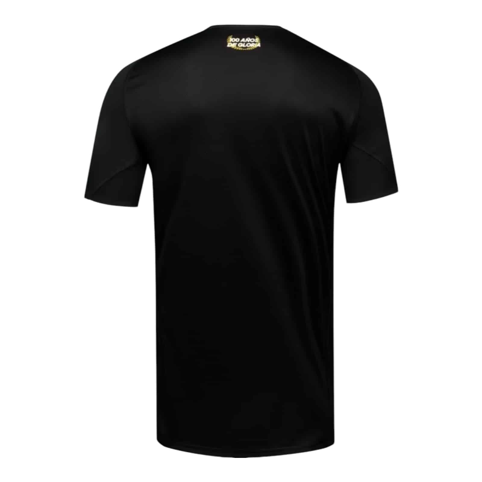 Camiseta  Colo Colo Bicentenario Arquero